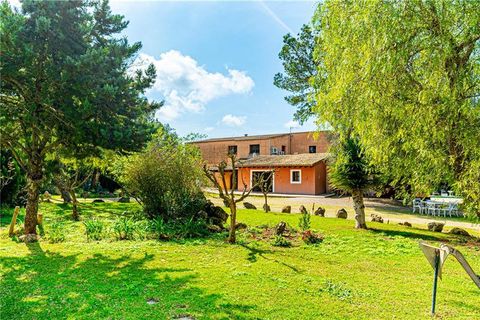 Finca i Algaida, Mallorca, Algaida - € 3.400.000 | Ref: 46674 - foto 22